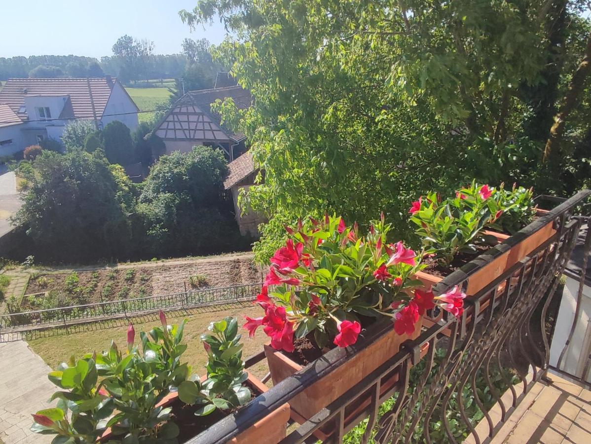 Appartement Des Rives De L'Ehn Krautergersheim Екстериор снимка